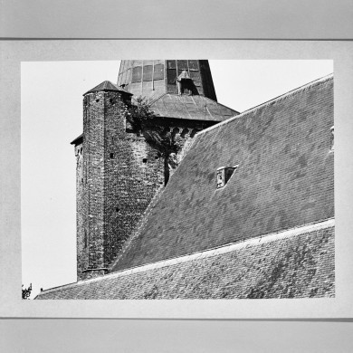 Rijksdienst voor het Cultureel Erfgoed: Koning, de