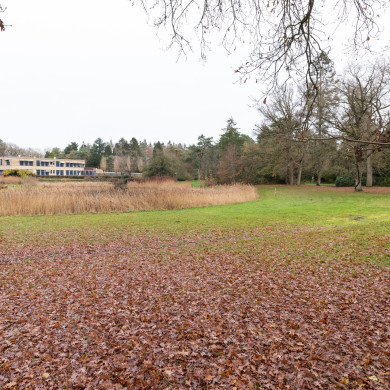 Rijksdienst voor het Cultureel Erfgoed: Sekuur, Mark