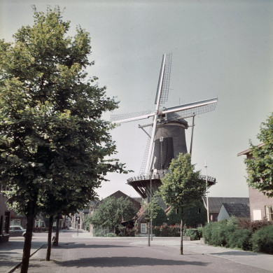 Rijksdienst voor het Cultureel Erfgoed