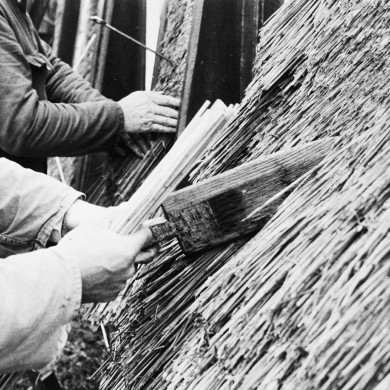 Rijksdienst voor het Cultureel Erfgoed: Ooi, T.Th.M. van (Boskoop)