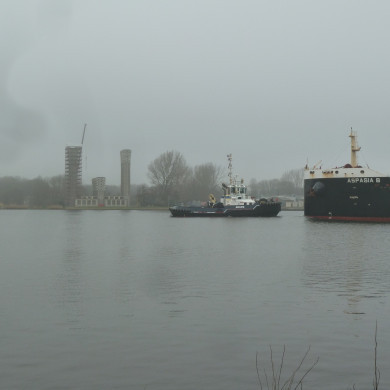 Rijksdienst voor het Cultureel Erfgoed: Bogers, Guido