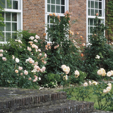 Rijksdienst voor het Cultureel Erfgoed: Heuff M. (Marijke)