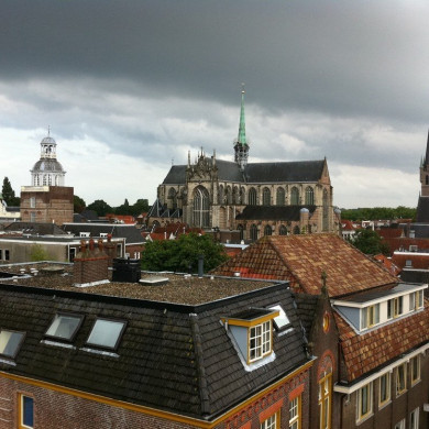 Rijksdienst voor het Cultureel Erfgoed: Linden, Bram