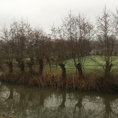 Rijksdienst voor het Cultureel Erfgoed: Wal, Henry van der
