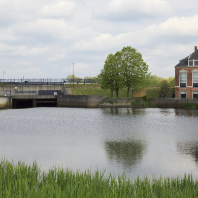 Rijksdienst voor het Cultureel Erfgoed: Jong, Nanette de