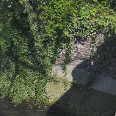 Rijksdienst voor het Cultureel Erfgoed: Booms, C.S. (Chris)