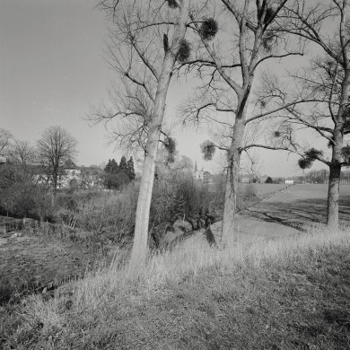 Rijksdienst voor het Cultureel Erfgoed: Galen, P. van