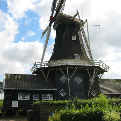 Rijksdienst voor het Cultureel Erfgoed: Terpstra, Frank