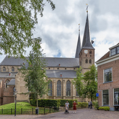 Rijksdienst voor het Cultureel Erfgoed: Schaap, Marchje