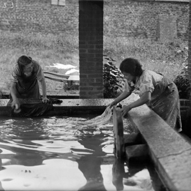Rijksdienst voor het Cultureel Erfgoed