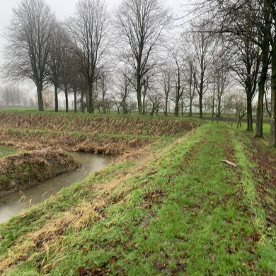 Rijksdienst voor het Cultureel Erfgoed: Bogers, Guido
