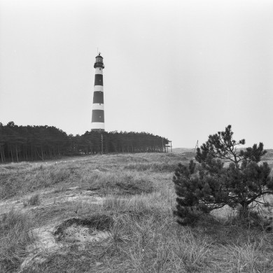 Rijksdienst voor het Cultureel Erfgoed: Wal, A.J. van der