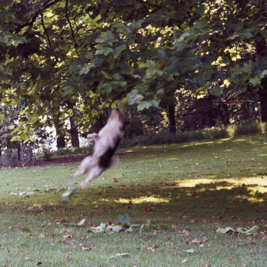 Rijksdienst voor het Cultureel Erfgoed: Heuff M. (Marijke)