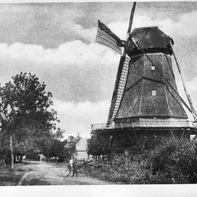 Rijksdienst voor het Cultureel Erfgoed: Koning, J.P. de