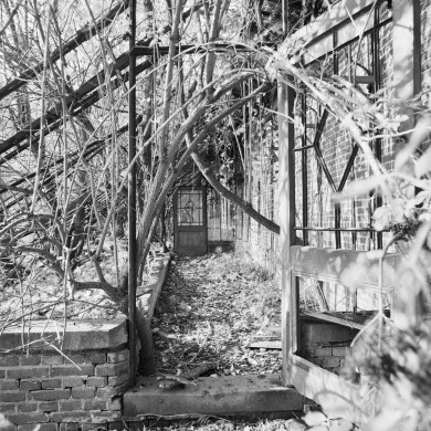 Rijksdienst voor het Cultureel Erfgoed: Galen, P. (Paul) van