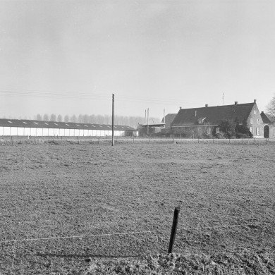 Rijksdienst voor het Cultureel Erfgoed: Galen, P. van