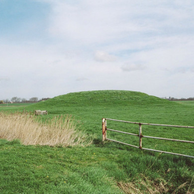 Rijksdienst voor het Cultureel Erfgoed