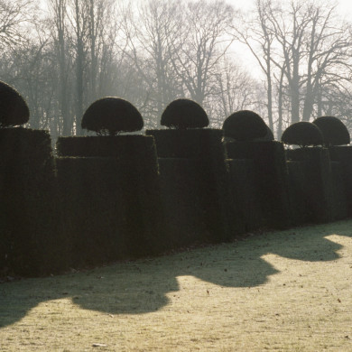 Rijksdienst voor het Cultureel Erfgoed: Heuff M. (Marijke)