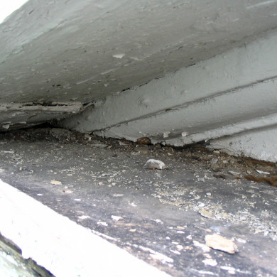 Rijksdienst voor het Cultureel Erfgoed: Bogers, Guido