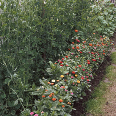 Rijksdienst voor het Cultureel Erfgoed: Heuff M. (Marijke)