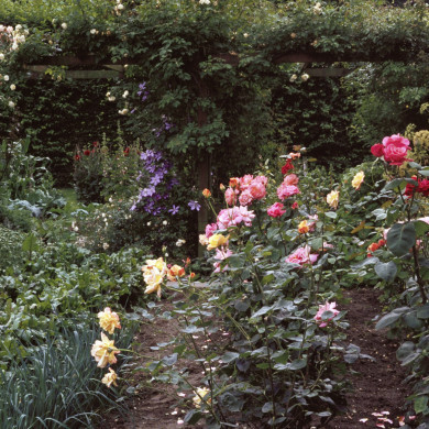 Rijksdienst voor het Cultureel Erfgoed: Heuff M. (Marijke)