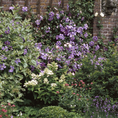 Rijksdienst voor het Cultureel Erfgoed: Heuff M. (Marijke)
