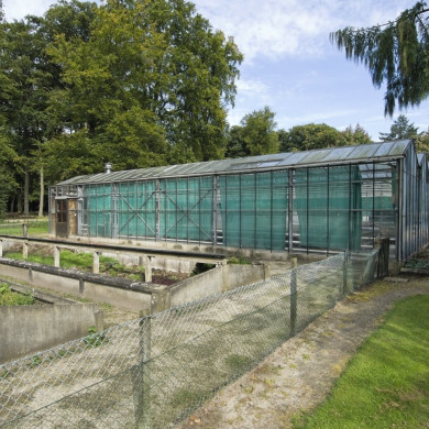 Rijksdienst voor het Cultureel Erfgoed: Galen, Jan van