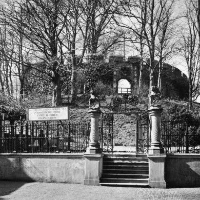 Rijksdienst voor het Cultureel Erfgoed: Lichtbeeldeninstituut