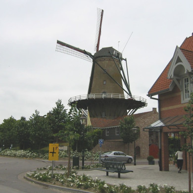 Rijksdienst voor het Cultureel Erfgoed: Terpstra, Frank