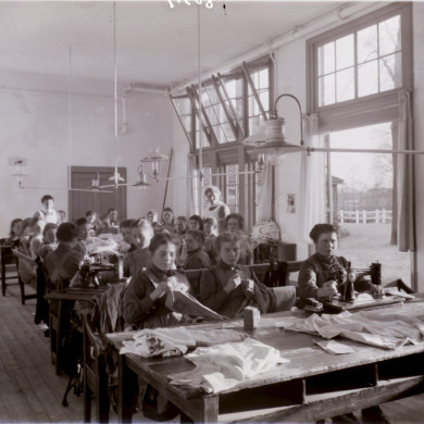 Rijksdienst voor het Cultureel Erfgoed: Brinio