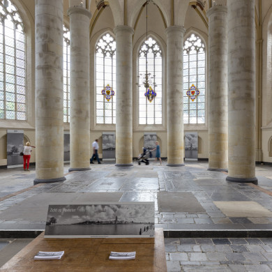 Rijksdienst voor het Cultureel Erfgoed: Schaap, Marchje