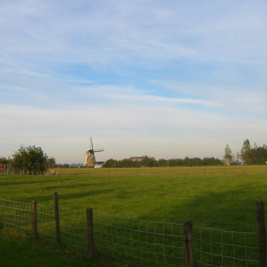Rijksdienst voor het Cultureel Erfgoed: Terpstra, Frank
