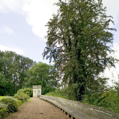 Rijksdienst voor het Cultureel Erfgoed: Technau, Sergé