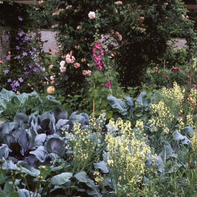 Rijksdienst voor het Cultureel Erfgoed: Heuff M. (Marijke)