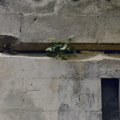 Rijksdienst voor het Cultureel Erfgoed: Galen, P. van