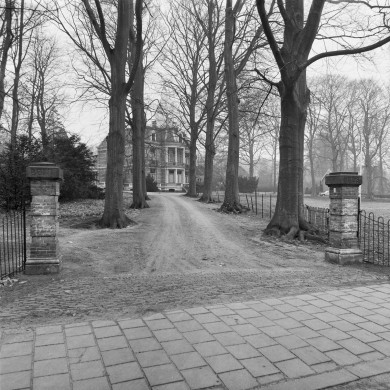 Rijksdienst voor het Cultureel Erfgoed: Schollen, A.H.C.