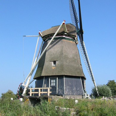 Rijksdienst voor het Cultureel Erfgoed: Terpstra, Frank