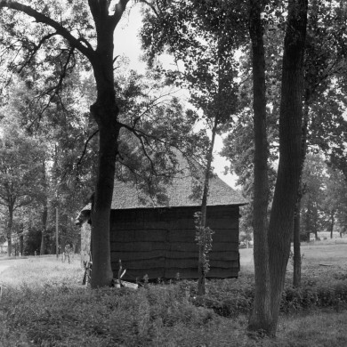 Rijksdienst voor het Cultureel Erfgoed: Schellekens, P.C.
