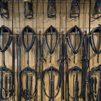 Rijksdienst voor het Cultureel Erfgoed: Tilleman, Ronald