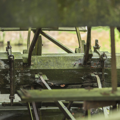 Rijksdienst voor het Cultureel Erfgoed: Buthker, Luc