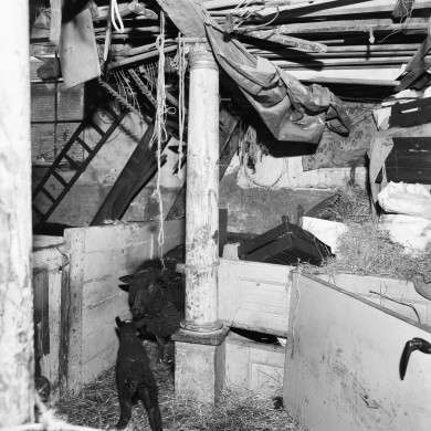 Rijksdienst voor het Cultureel Erfgoed: Wal, A.J. van der