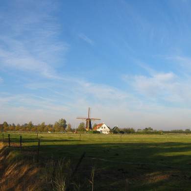 Rijksdienst voor het Cultureel Erfgoed: Terpstra, Frank