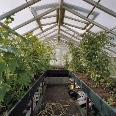 Rijksdienst voor het Cultureel Erfgoed: Heins, IJ.Th.