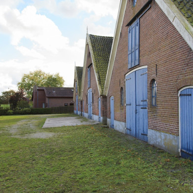 Rijksdienst voor het Cultureel Erfgoed: Jong, Nanette de