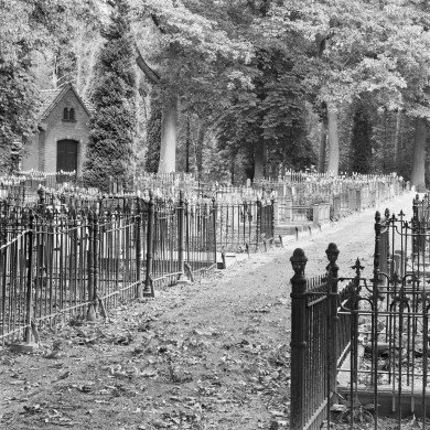 Rijksdienst voor het Cultureel Erfgoed: Wal, A.J. van der