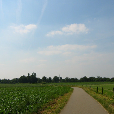 Rijksdienst voor het Cultureel Erfgoed: Terpstra, Frank