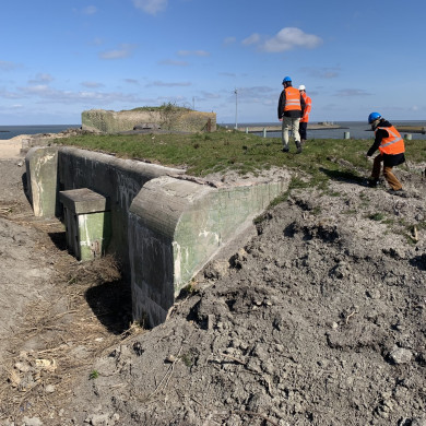 Rijksdienst voor het Cultureel Erfgoed: Bogers, Guido