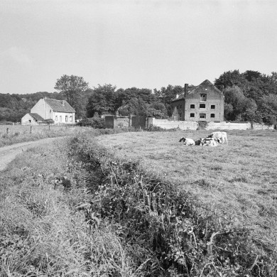 Rijksdienst voor het Cultureel Erfgoed: Tangel, L.M.