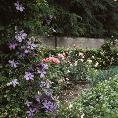 Rijksdienst voor het Cultureel Erfgoed: Heuff M. (Marijke)