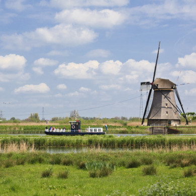 Rijksdienst voor het Cultureel Erfgoed: Jong, Nanette de